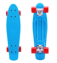 Tiger Boards Complete 22" Skateboard - Blue
